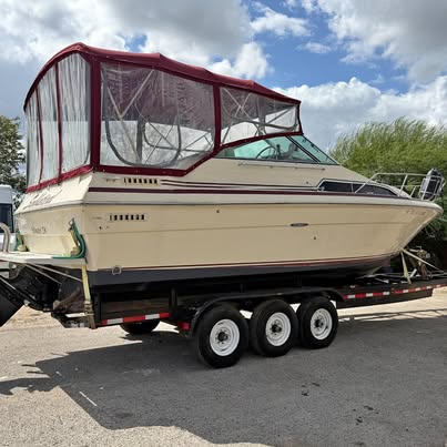 1982 Sea Ray 270DM Sundanser
