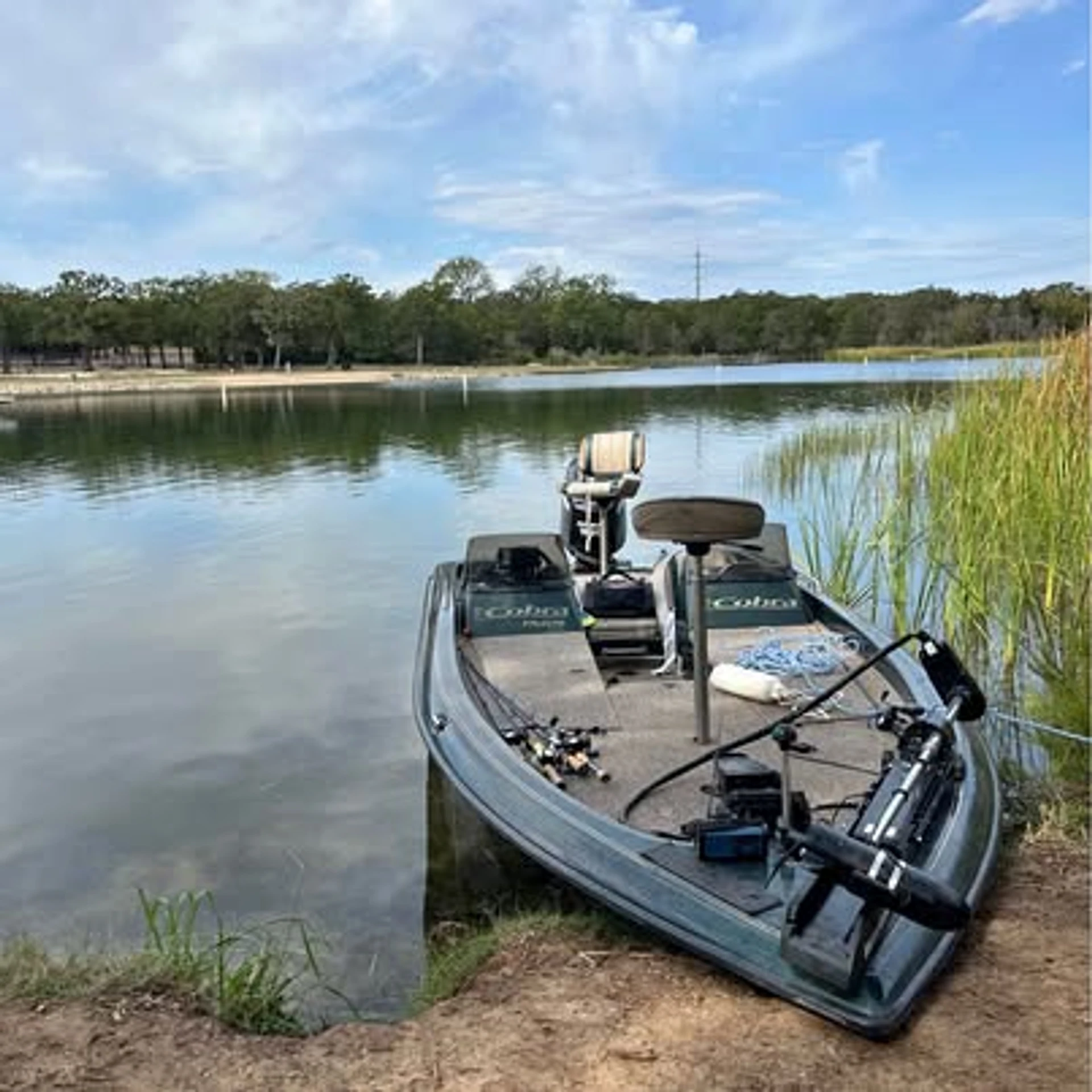 2020 Evinrude 150/1997 20’ Cobra Viper Bass Boat